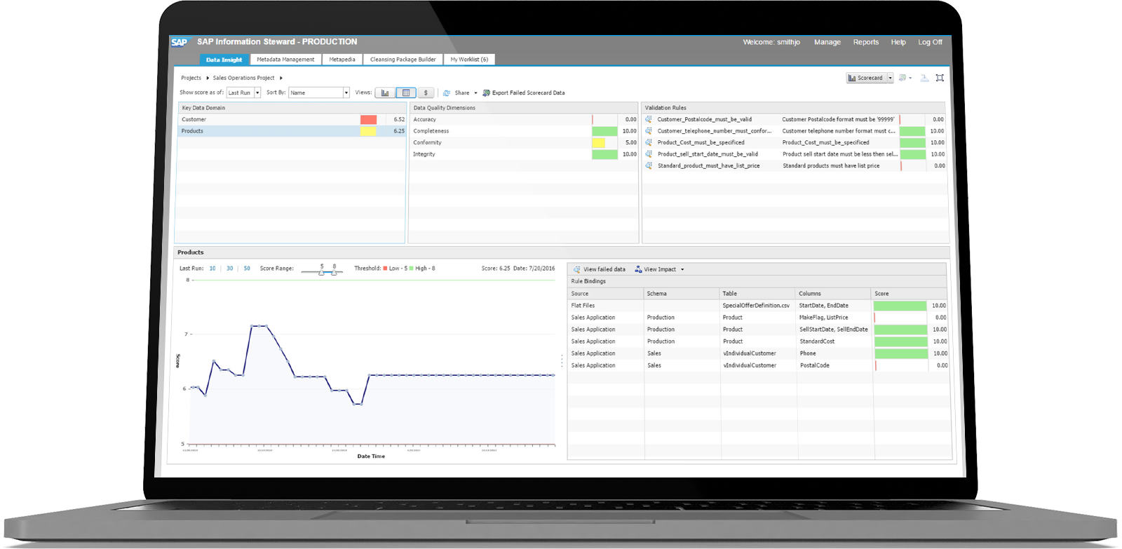 screenshot of SAP Information Steward